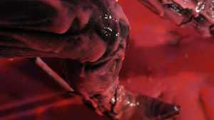 gunge-gothic_15.jpg